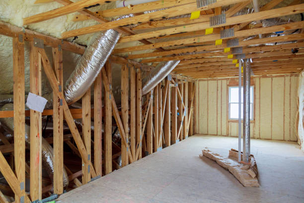 Best Energy-efficient Insulation  in Shackle Island, TN